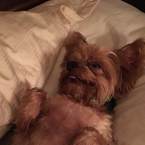 Meet your Posher, Maria